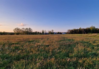 działka na sprzedaż - Siemkowice, Łukomierz